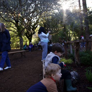 Community park or recreation area