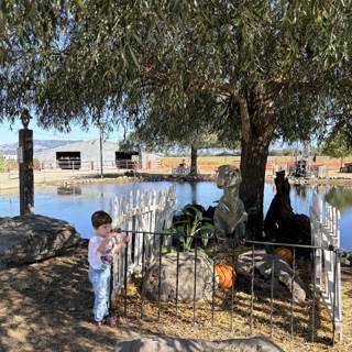 Autumn Afternoon by the Pond