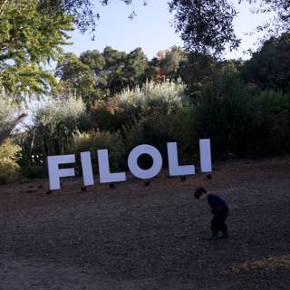 A Day at Filoli Gardens