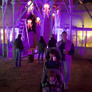 Enchanted Evenings at the Garden of D'Lights