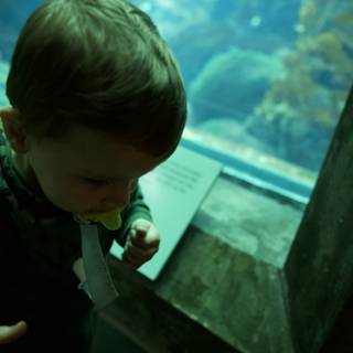 A Young Explorer Submerged in Wonder