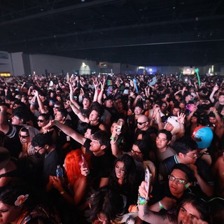 Massive Crowd Surges at Wobbleland 2026 Festival