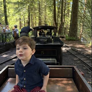 Joyful Adventure on the Woodland Express