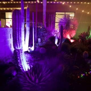Enchanted Night in the Garden of D'Lights