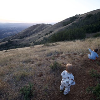 adventurous-tender-awe-inspiring