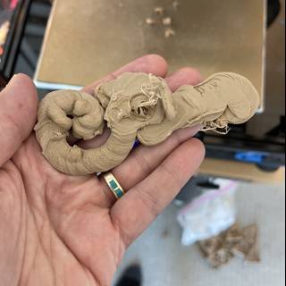 Clay in Hand