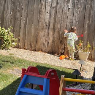 Backyard Adventures