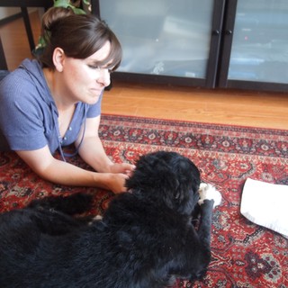 pet-bonding