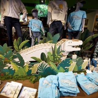 California Academy of Sciences Gift Shop Display