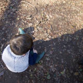 Quiet Contemplation at Thistlewyck
