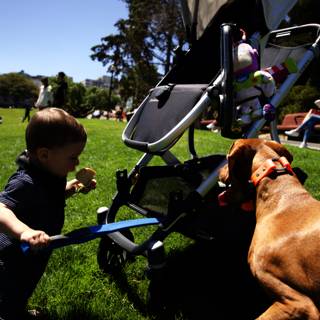 Sunshine Playdate: Boy and his Canine Friend