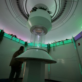 immersive-art-museum-installation