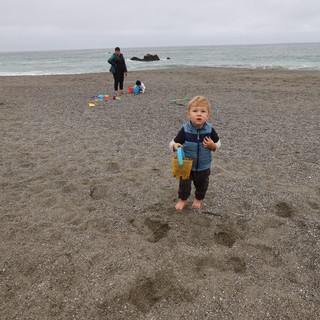Toddler Explores Foggy Pacific Coast Beach
