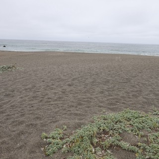 Overcast Solitude on a Dark Sand Beach