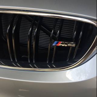 BMW M4 M Sport Grille in Alhambra