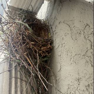 Architectural Nesting