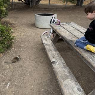Curious Encounters in Cambria