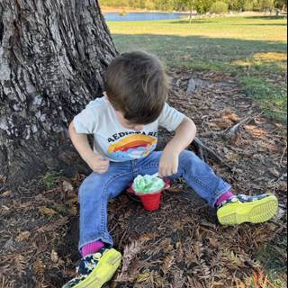 Summer Delight at Heather Farm Park