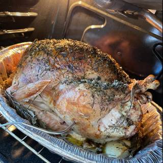 Thanksgiving Turkey Roasting in an Electrical Oven