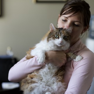 tender-and-affectionate
