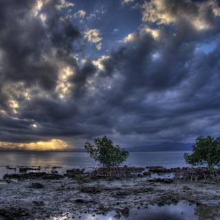 Moody Clouds over Mangroves