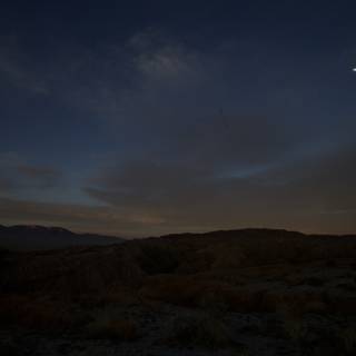 Moonlit Desert Oasis