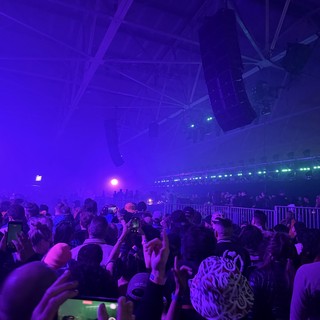 Purple Haze: Electronic Music Concert Crowd Experience