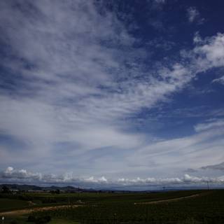 Breathtaking Vineyard Skies at Bouchaine Vineyards