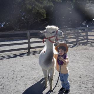 Cowboy's New Friend