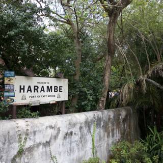 Remembering Harambe at Disney's Animal Kingdom