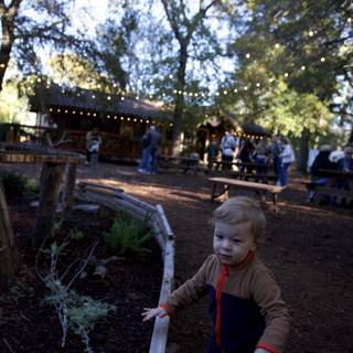 Exploring Thistlewyck's Natural Playground
