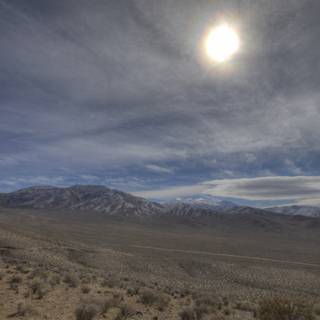 Sun-kissed Desert Landscape