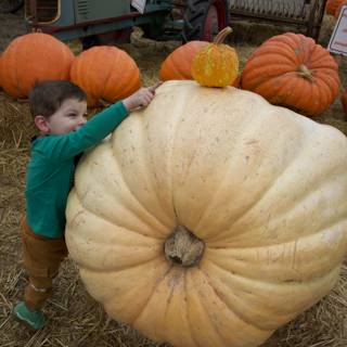 Giant Pumpkin Adventures