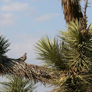 Serene Bird on Palm Leaf