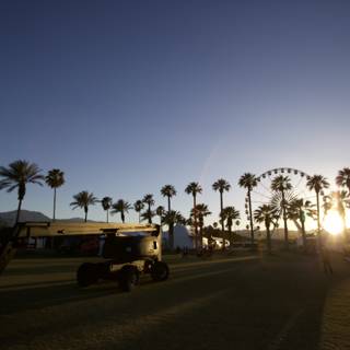 Silhouette of Palm Trees Against the Coachella Sunset