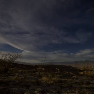 Night Sky Over Anza Borrego Desert