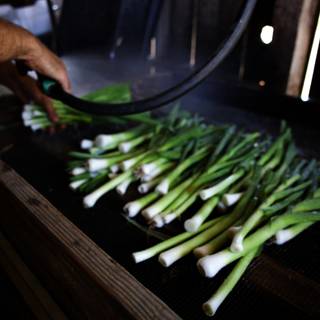 The Art of Washing Green Onions