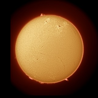 Solar Disc in Hydrogen-Alpha Light with Prominences