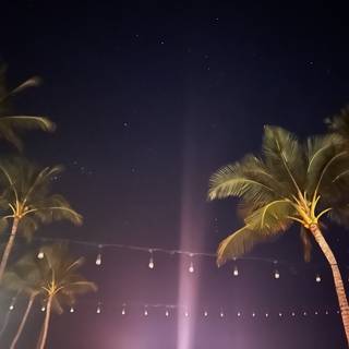 Tropical Paradise Nightscape