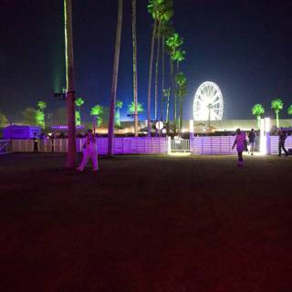Enchanted Evening at Coachella 2024
