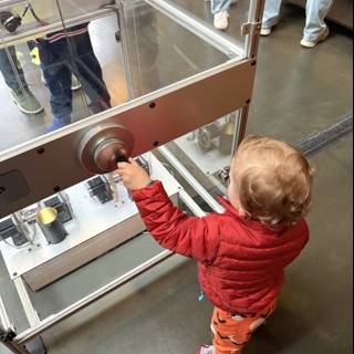 Curious Minds at Play