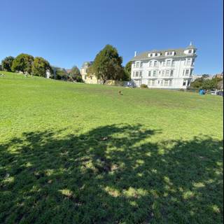 Serene Afternoon in Duboce Park