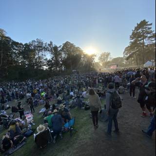 Crowd Jamming at Outdoor Concert in Golden Gate Park