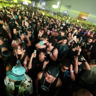 Massive Crowd Surges at Wobbleland 2026 Festival