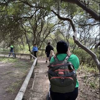 Journey Through the Woods