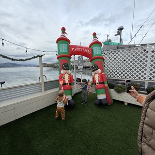 waterfront pier or marina