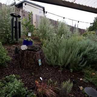 Backyard Garden Sanctuary with Wind Chimes and Herbs