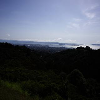 A Serene Escape: Breathtaking Berkeley Bay View