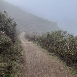 A Foggy Path to the Mountain