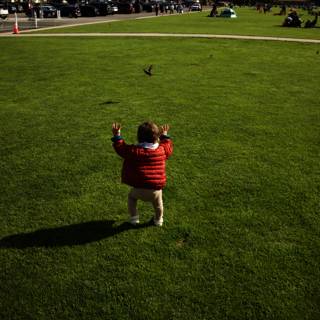 The Joy of Flight: Summer Afternoon in Presidio Park